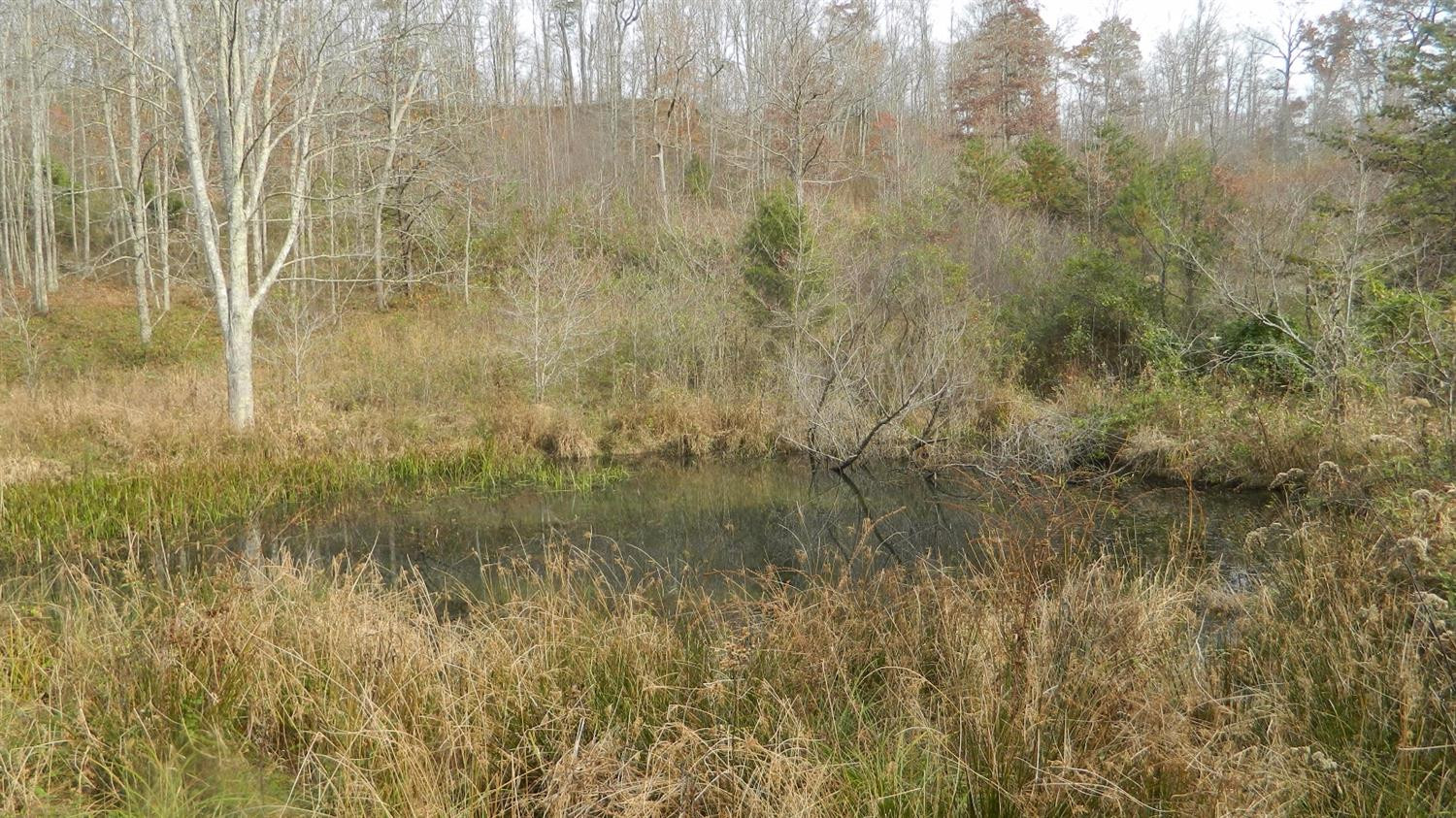 589 Judd Road Booneville, KY 41314 - Photo 23 of 67 Photo 23