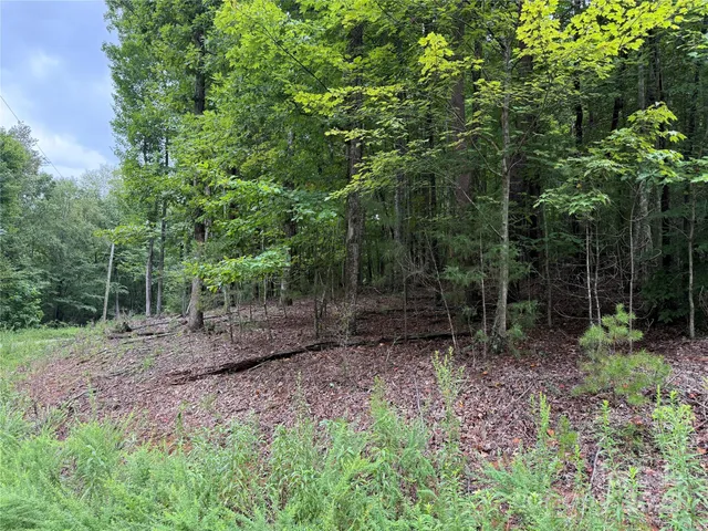 $32,500 | 0 Woodchuck Lane, Unit 110, Marion, NC 28752