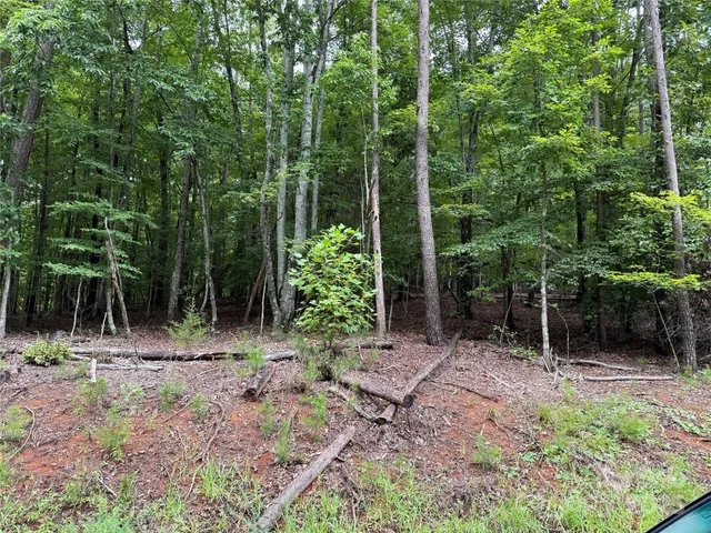 $32,500 | 0 Woodchuck Lane, Unit 110, Marion, NC 28752