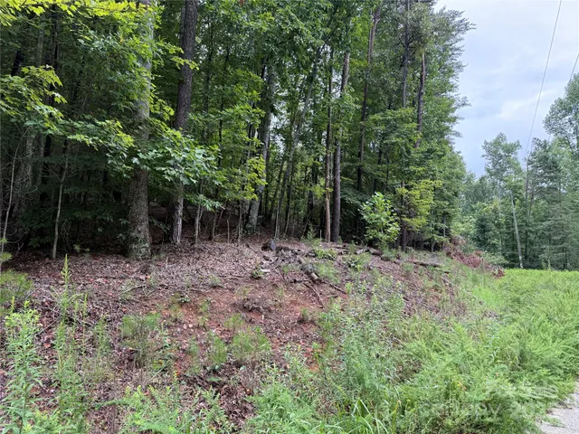 $32,500 | 0 Woodchuck Lane, Unit 110, Marion, NC 28752