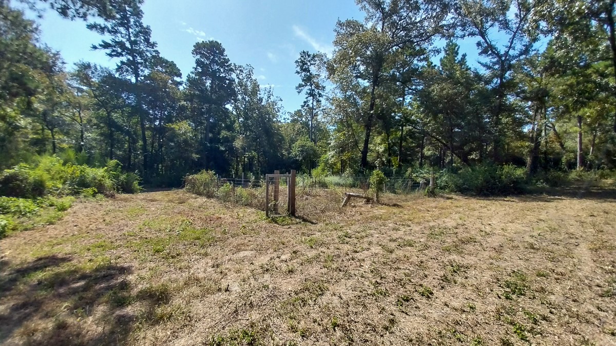 134 Cedar Ridge Huntsville, TX 77320 - Photo 16 of 24 Gallery Image 16