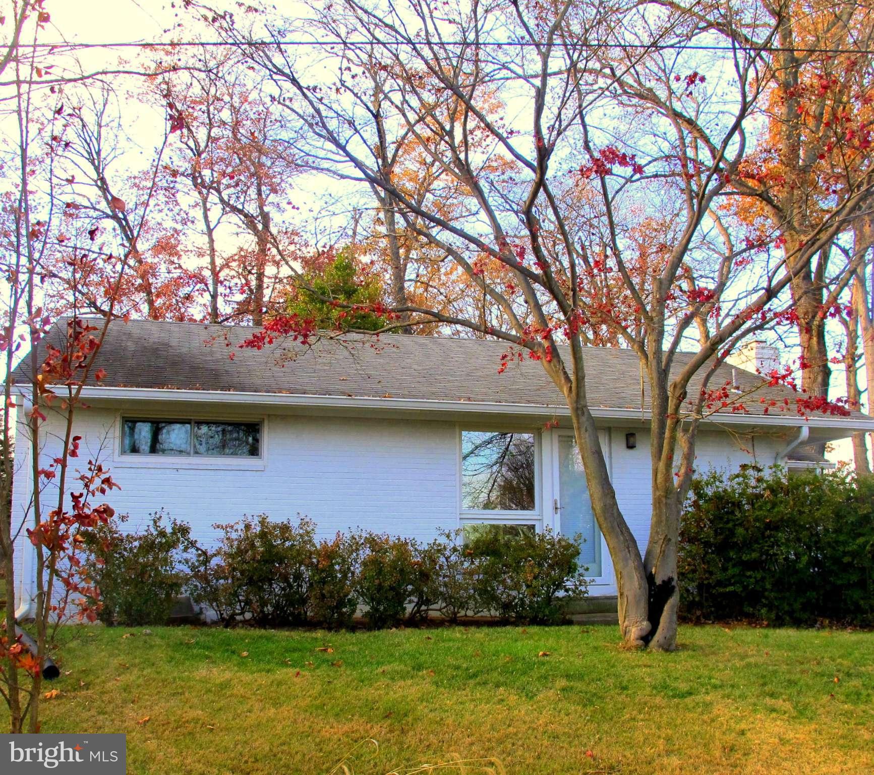 305 Cavalier Court Silver Spring, MD 20901 - Photo 1 of 30 Sun Filled Brick Rambler