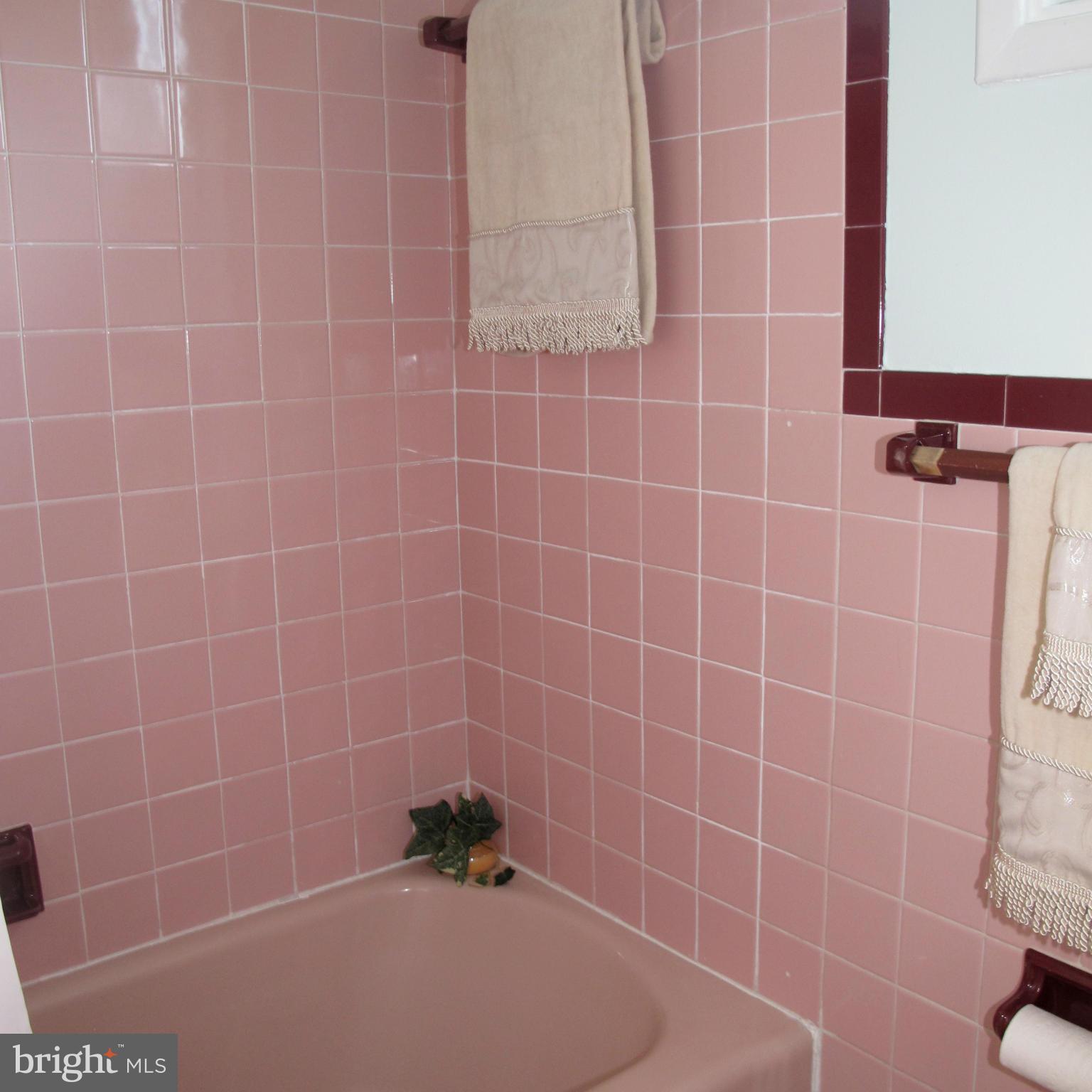 305 Cavalier Court Silver Spring, MD 20901 - Photo 19 of 30 Ceramic Tub Bath