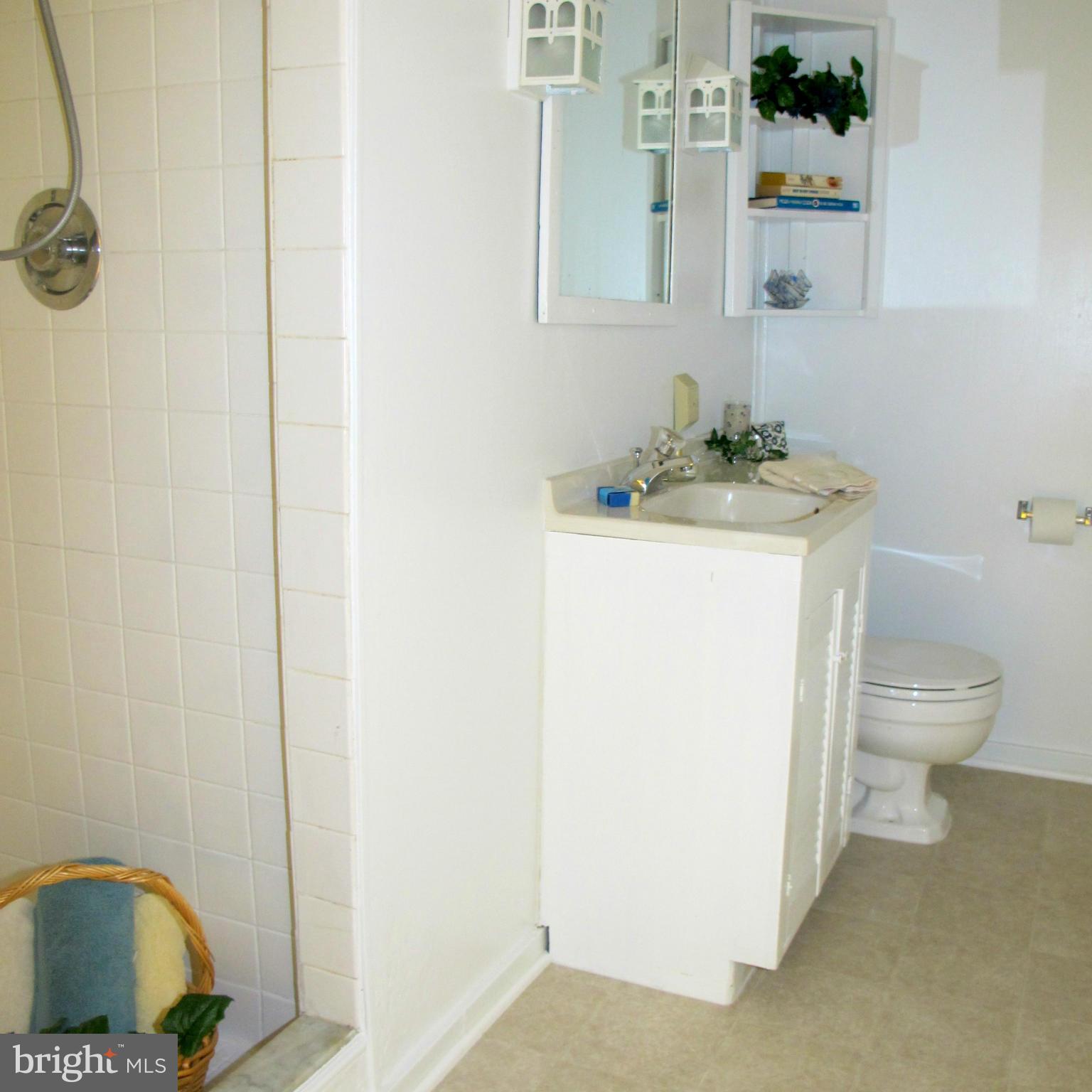305 Cavalier Court Silver Spring, MD 20901 - Photo 22 of 30 2nd Full Bath