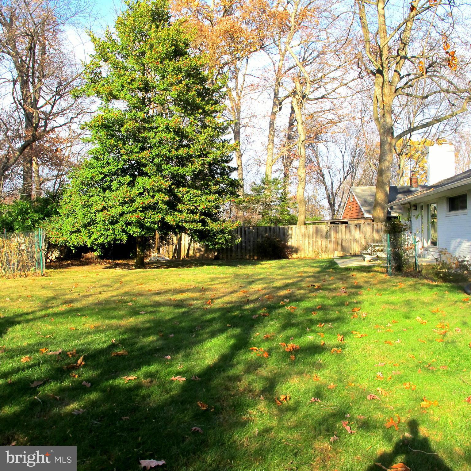 305 Cavalier Court Silver Spring, MD 20901 - Photo 28 of 30 Rear Yard