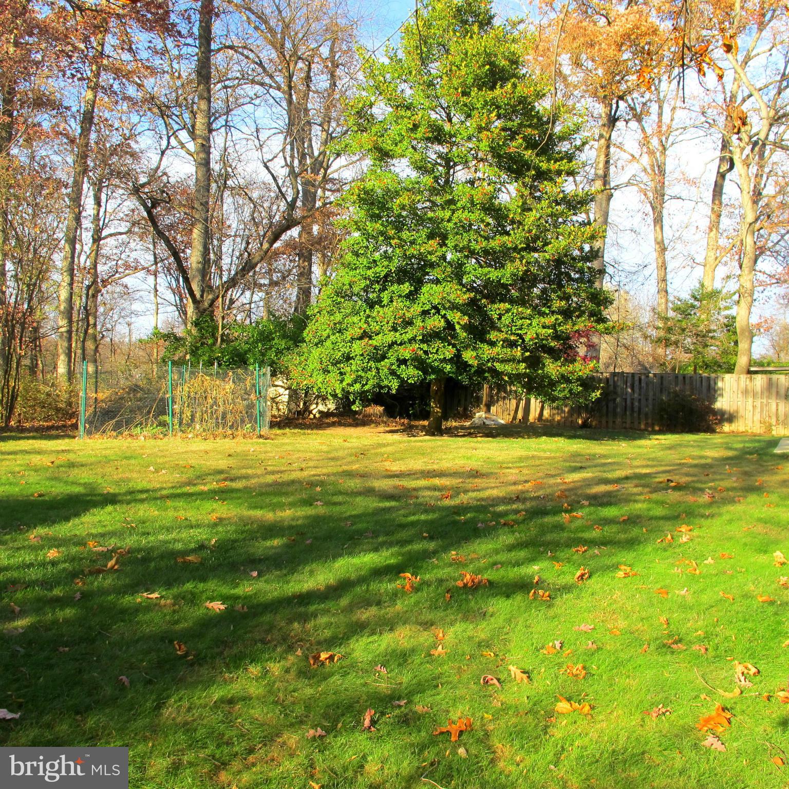 305 Cavalier Court Silver Spring, MD 20901 - Photo 29 of 30 Great rear yard with Storage Shed