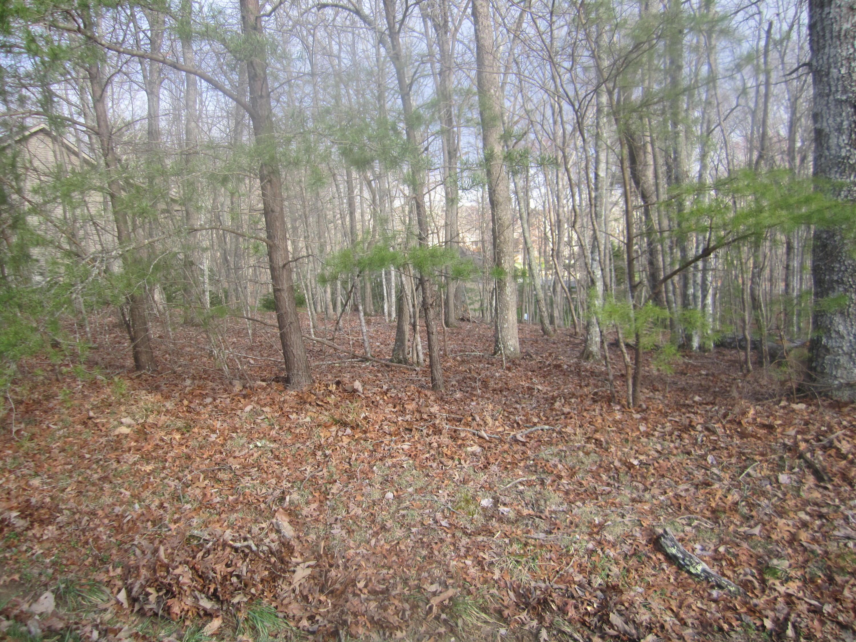 116 Folkstone Road Crossville, TN 38558 - Photo 1 of 2 114Folstone 2IMG_3920