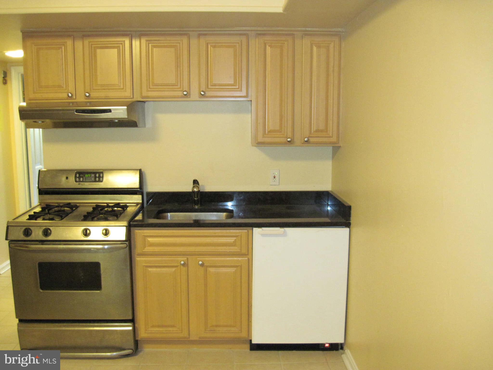 413 5th Street Northeast Washington, DC 20002 - Photo 9 of 21 Kitchenette in Au Pair Suite