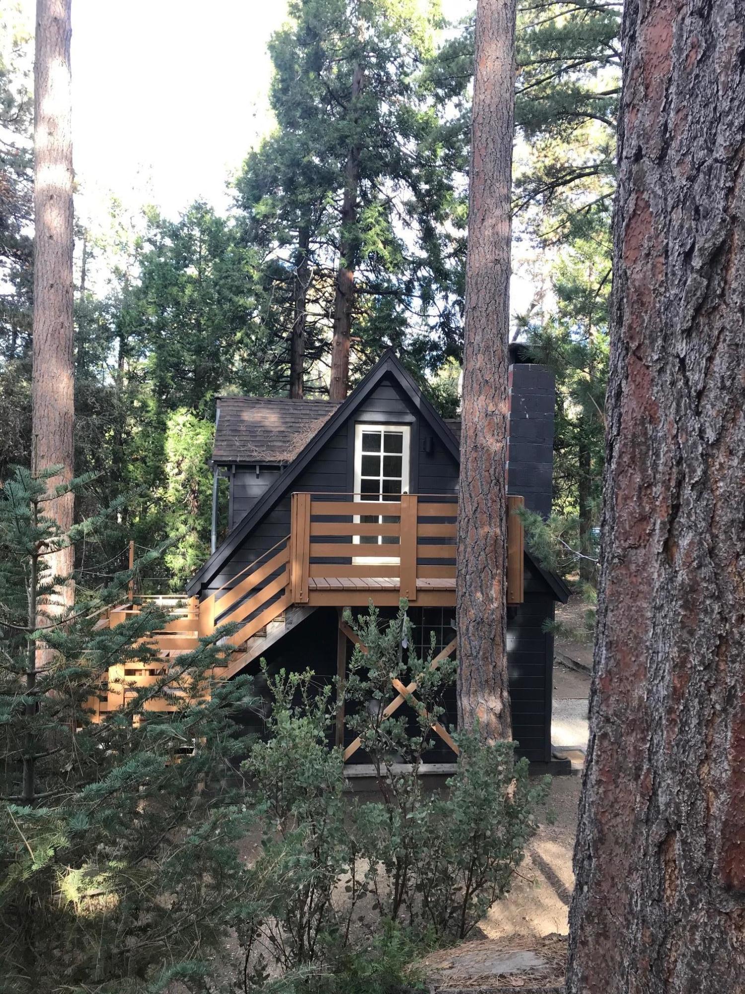 52760 Pine Ridge Road Idyllwild, CA 92549 - Photo 6 of 41 a house view with a outdoor space