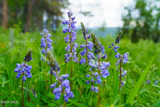 a view of roof with a yard
