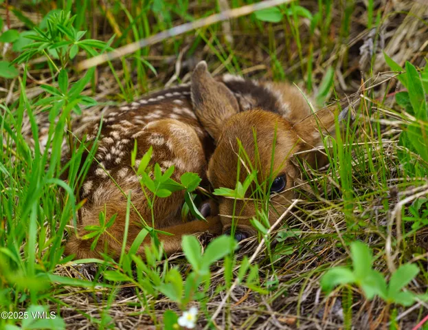 a view of roof with a yard