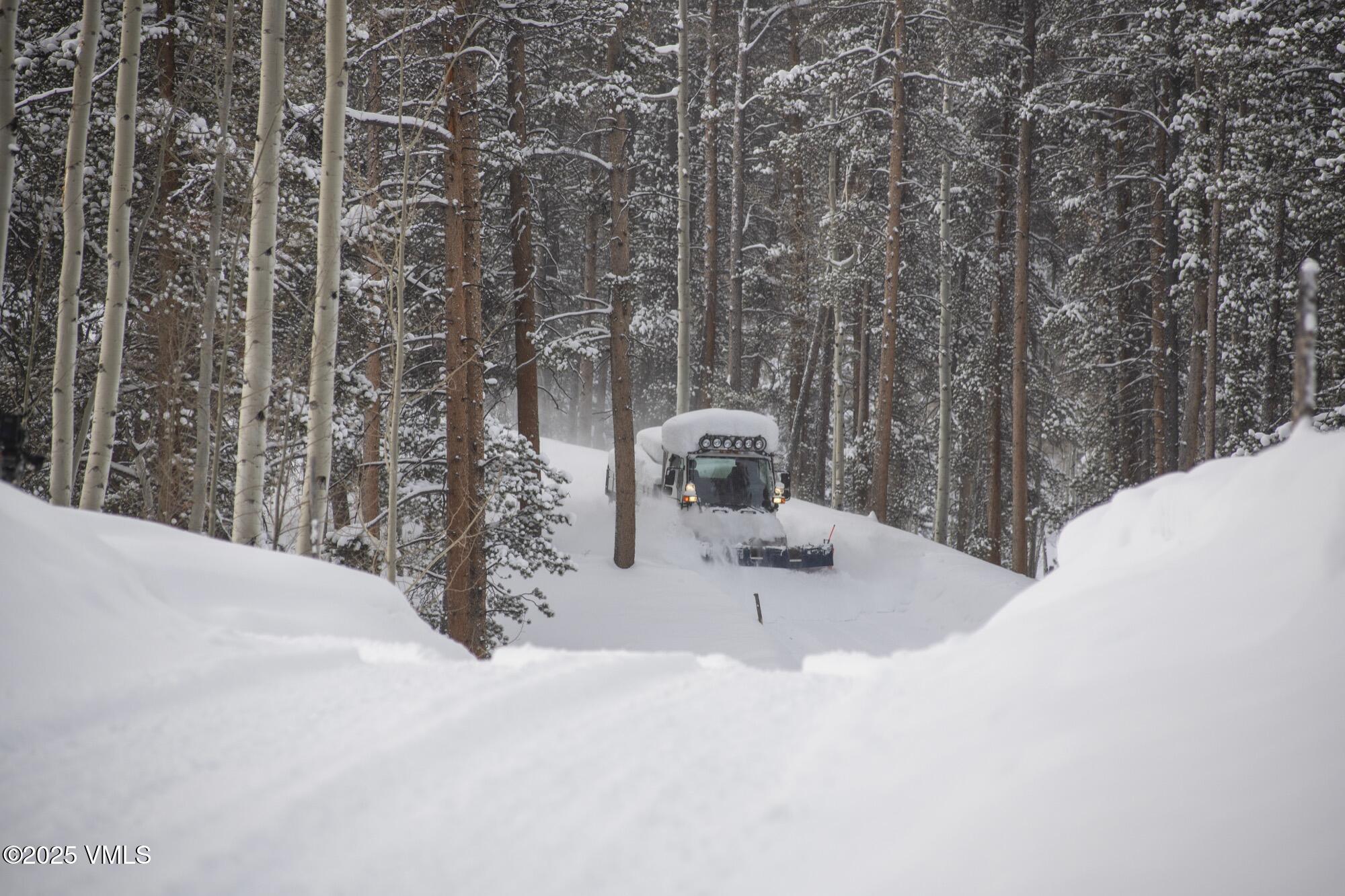 Tbd Casteel Creek Road Edwards, CO 81632 - Photo 18 of 37 Casteels Aspen Meadow Combined All Image