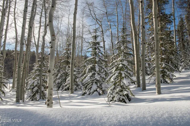 a view of city and mountain