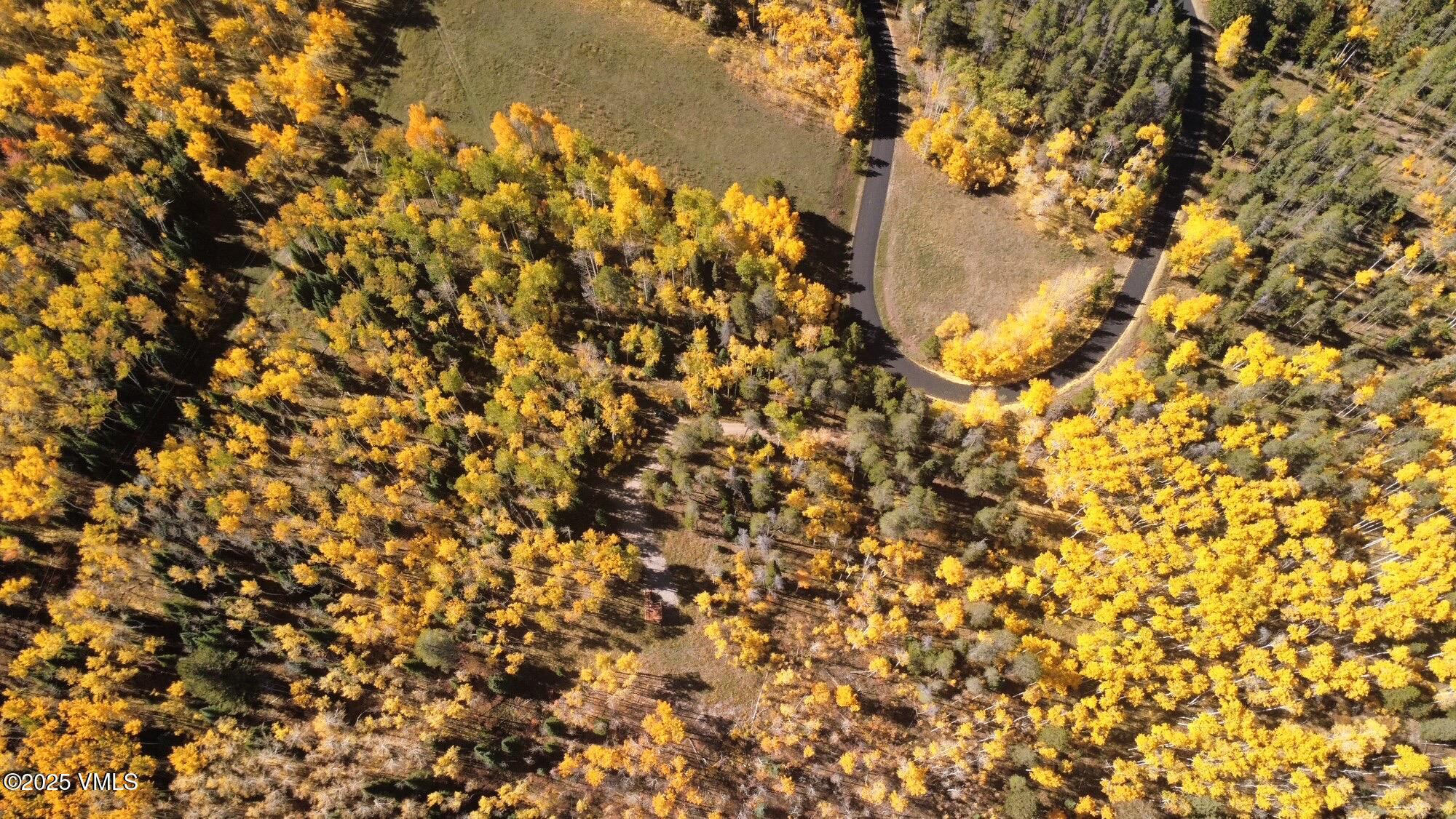 Tbd Casteel Creek Road Edwards, CO 81632 - Photo 25 of 36 a picture of a tree