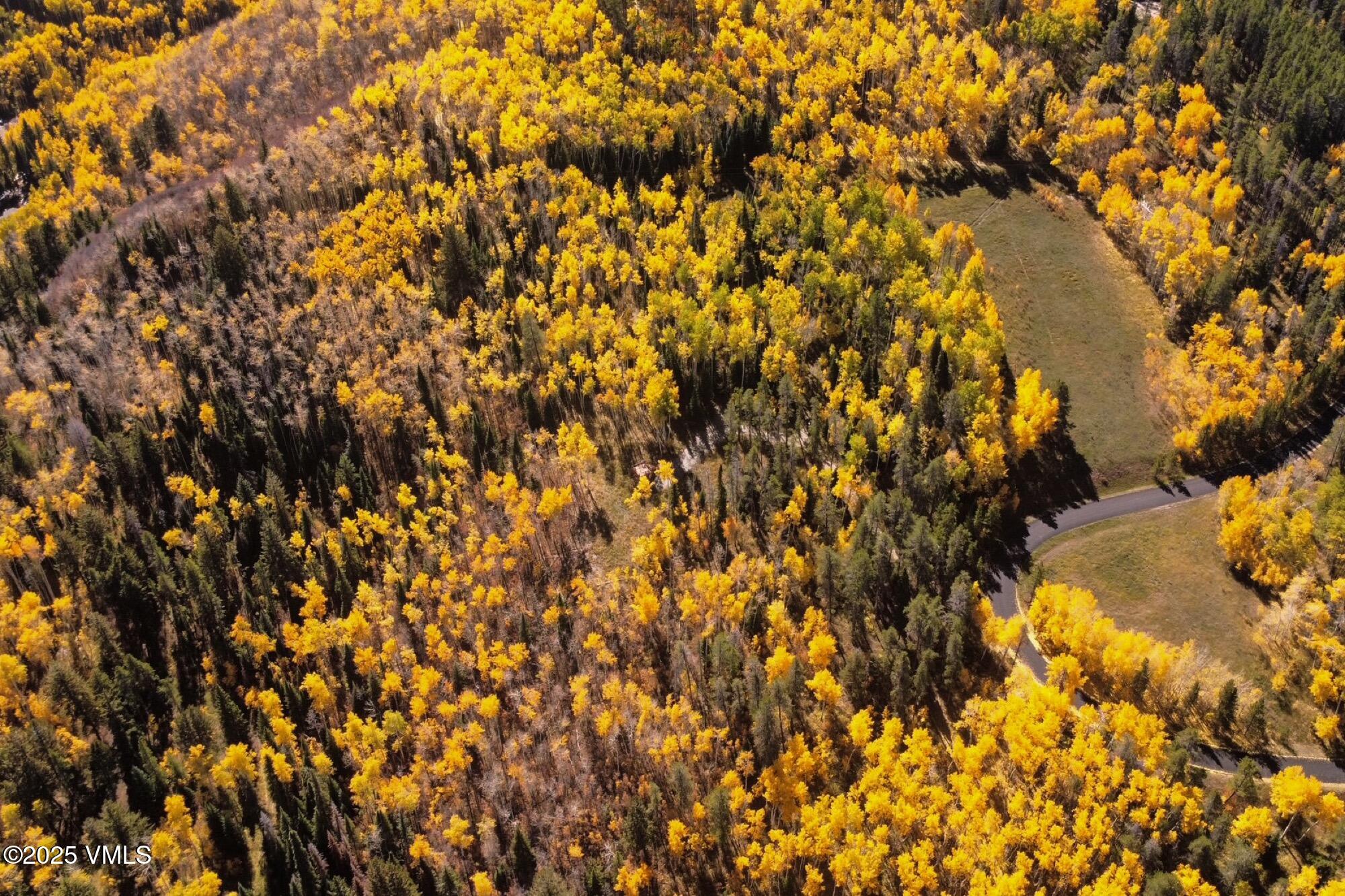 Tbd Casteel Creek Road Edwards, CO 81632 - Photo 25 of 37 Casteels Aspen Meadow Combined All Image