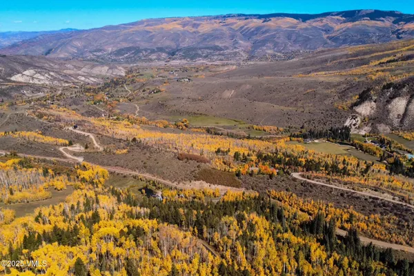 a close up of a plant