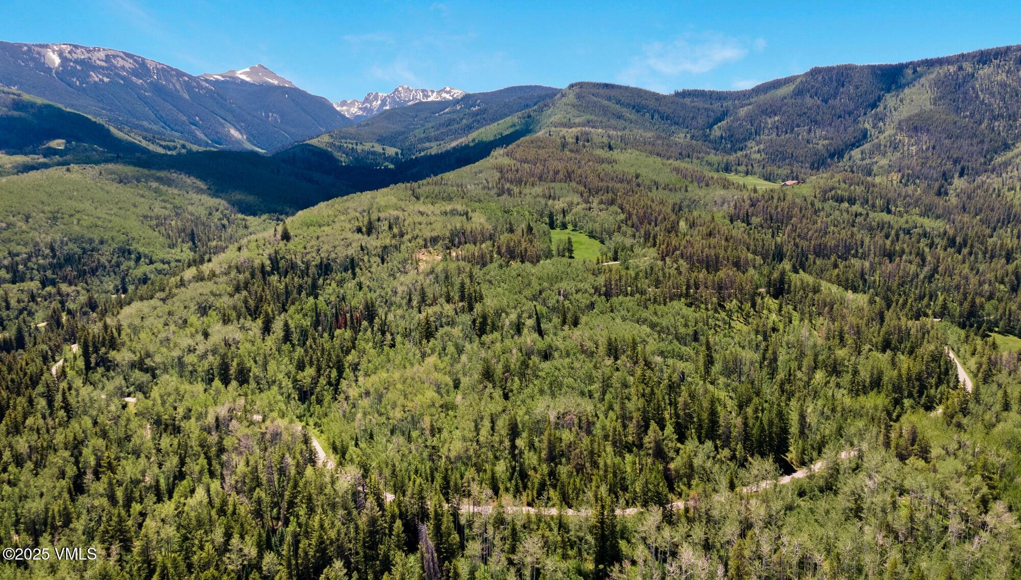 Tbd Casteel Creek Road Edwards, CO 81632 - Photo 28 of 37 Casteels Aspen Meadow Combined All Image
