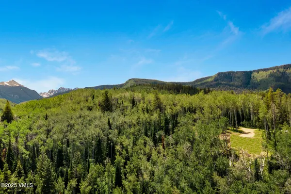 a view of a forest