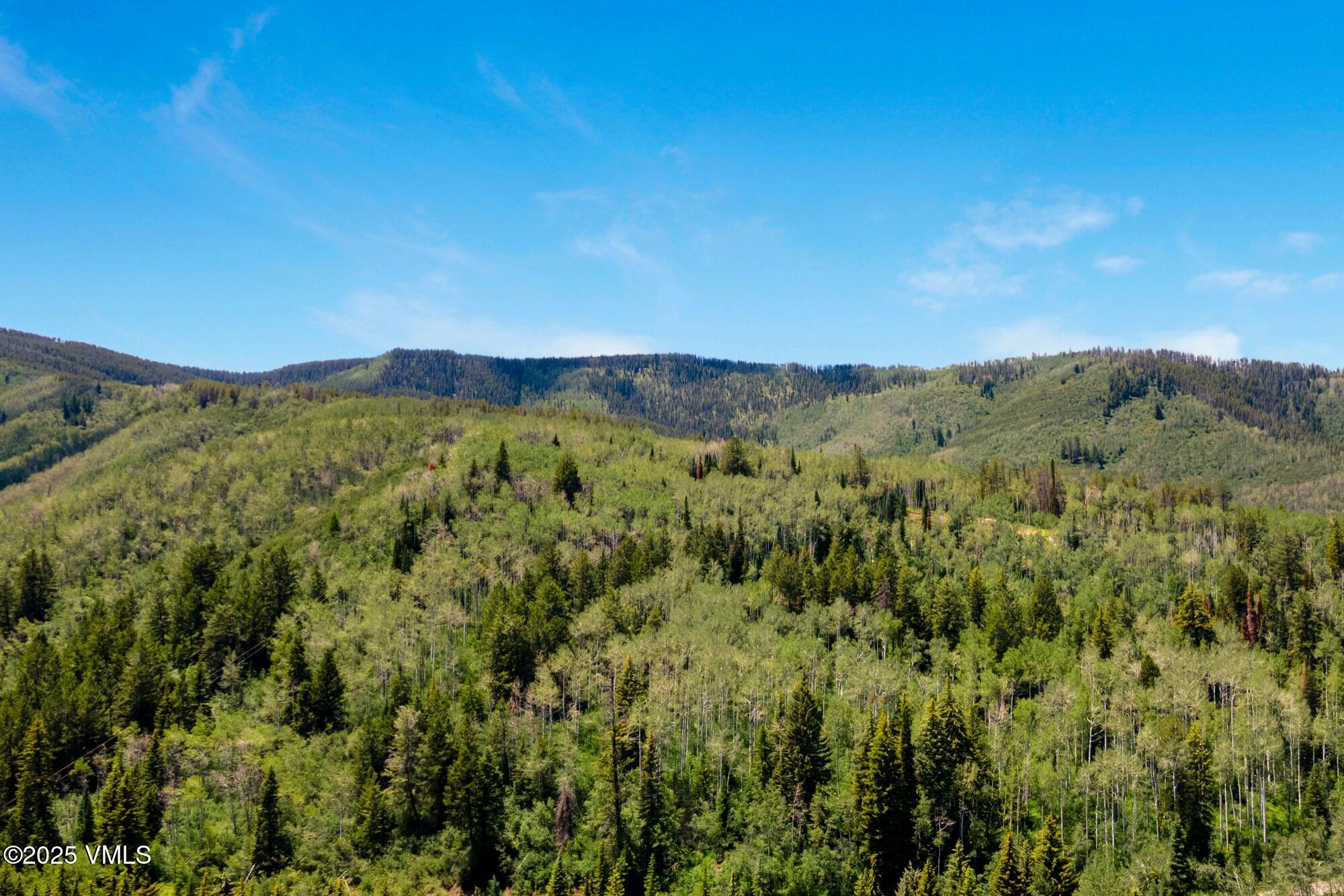 Tbd Casteel Creek Road Edwards, CO 81632 - Photo 30 of 37 Casteels Aspen Meadow Combined All Image