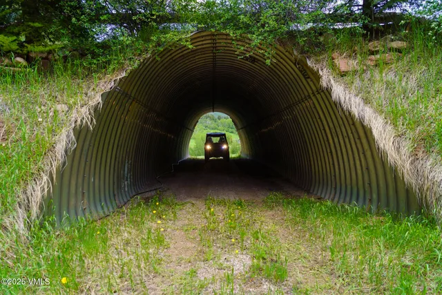 a backyard of a house with lots of green space and trees all around