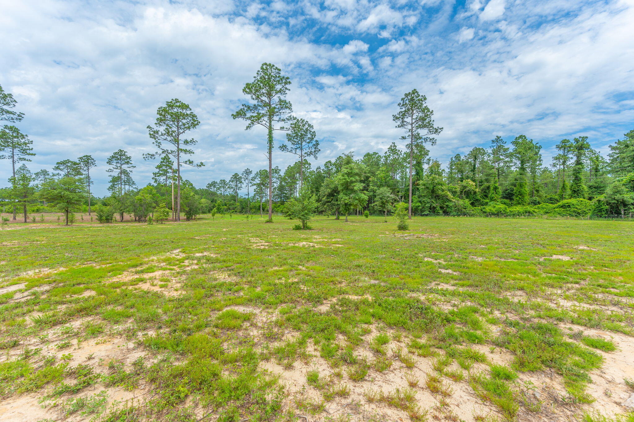 10-acres Buck Tyner Road Laurel Hill, FL 32567 - Photo 13 of 20 a view of a garden with a building in the background