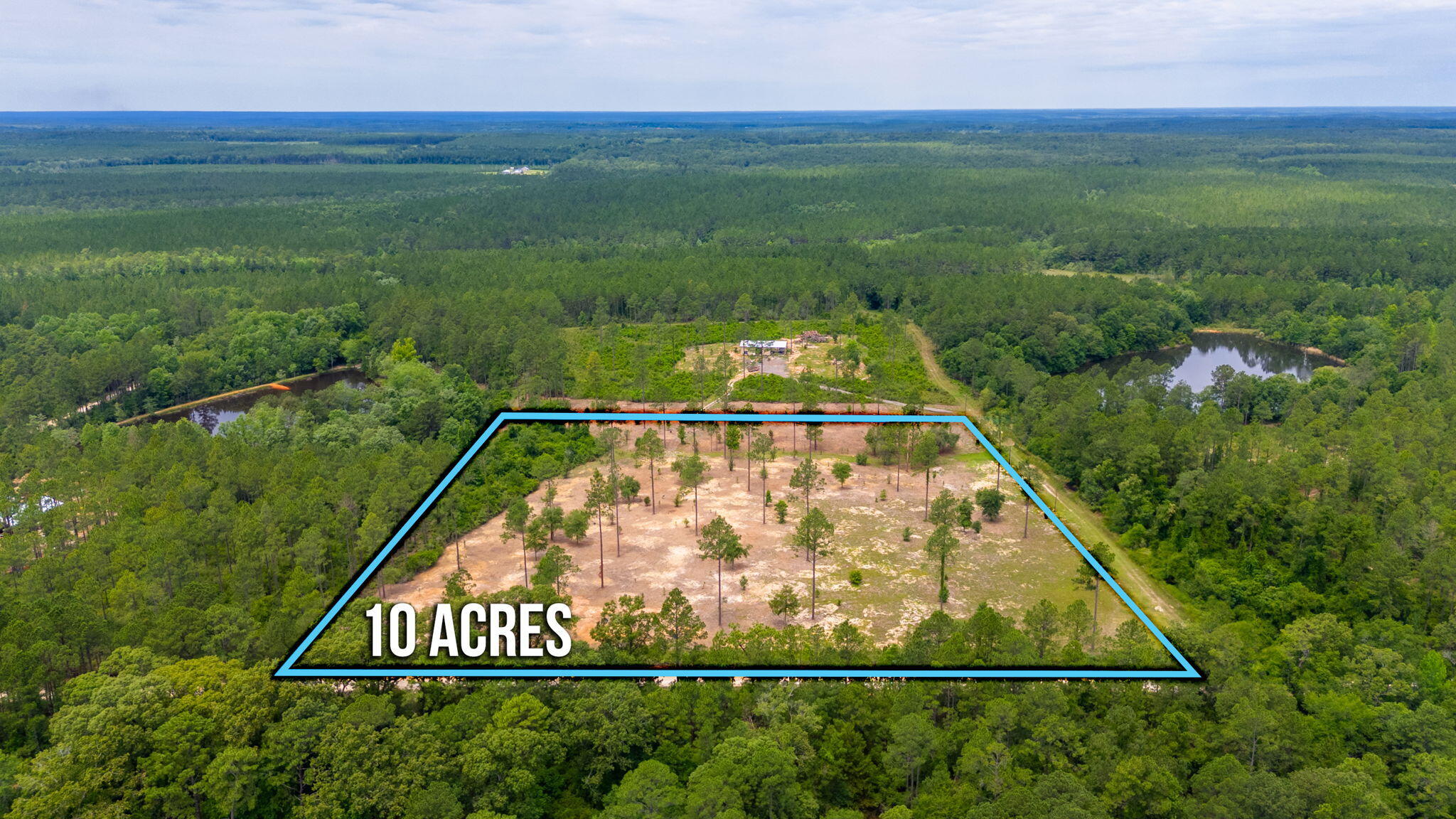 10-acres Buck Tyner Road Laurel Hill, FL 32567 - Photo 15 of 20 a view of a back yard