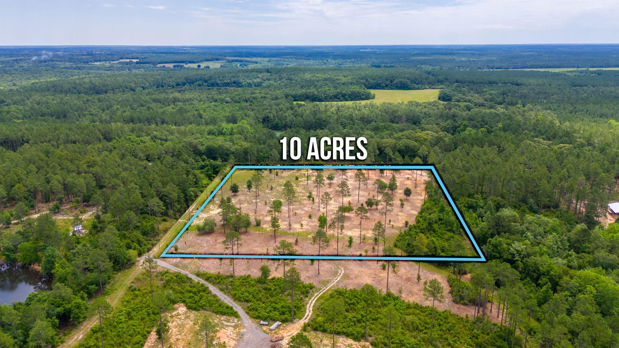 10-acres Buck Tyner Road Laurel Hill, FL 32567 - Photo 19 of 20 a view of a back yard