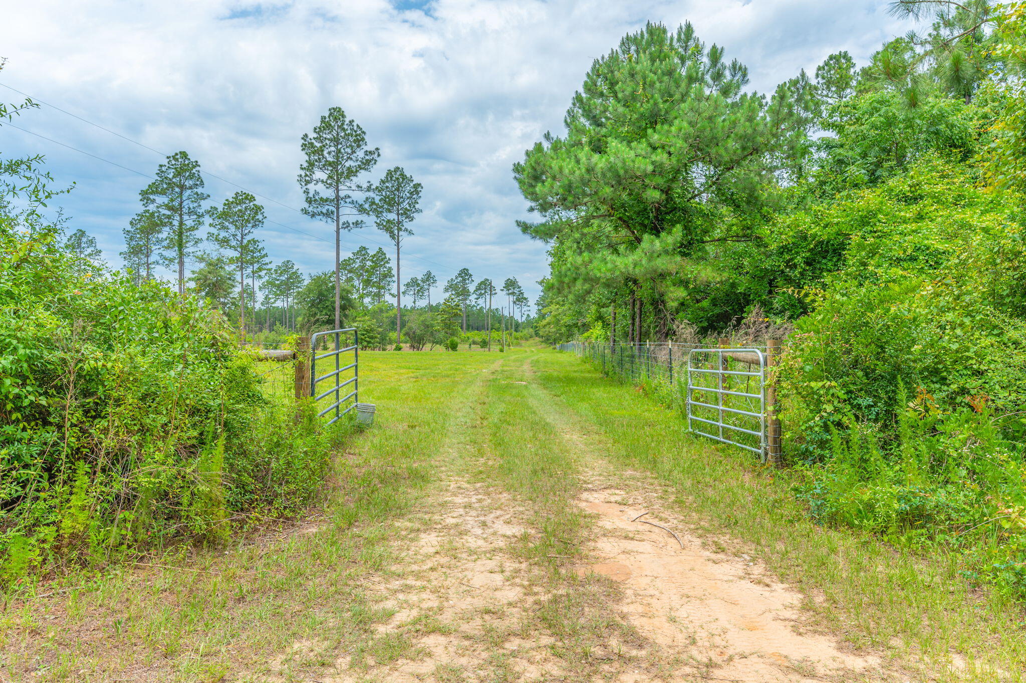 10-acres Buck Tyner Road Laurel Hill, FL 32567 - Photo 2 of 20 a view of a lake with a big yard