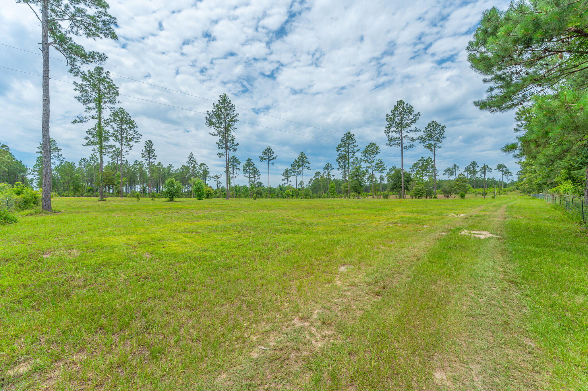 10-acres Buck Tyner Road Laurel Hill, FL 32567 - Photo 3 of 20 a backyard of a house with a large tree