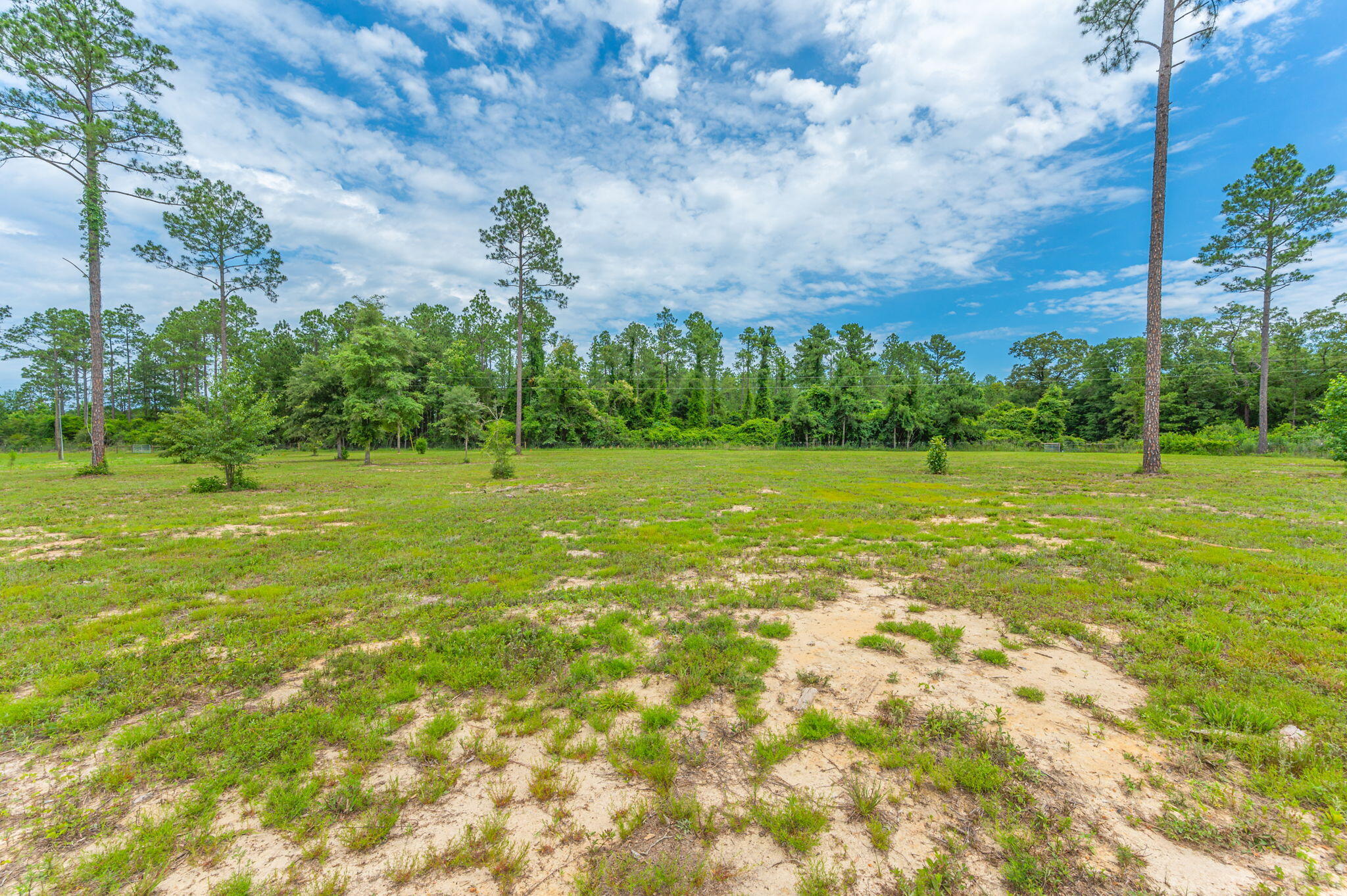 10-acres Buck Tyner Road Laurel Hill, FL 32567 - Photo 4 of 20 a view of a green field with trees in the background