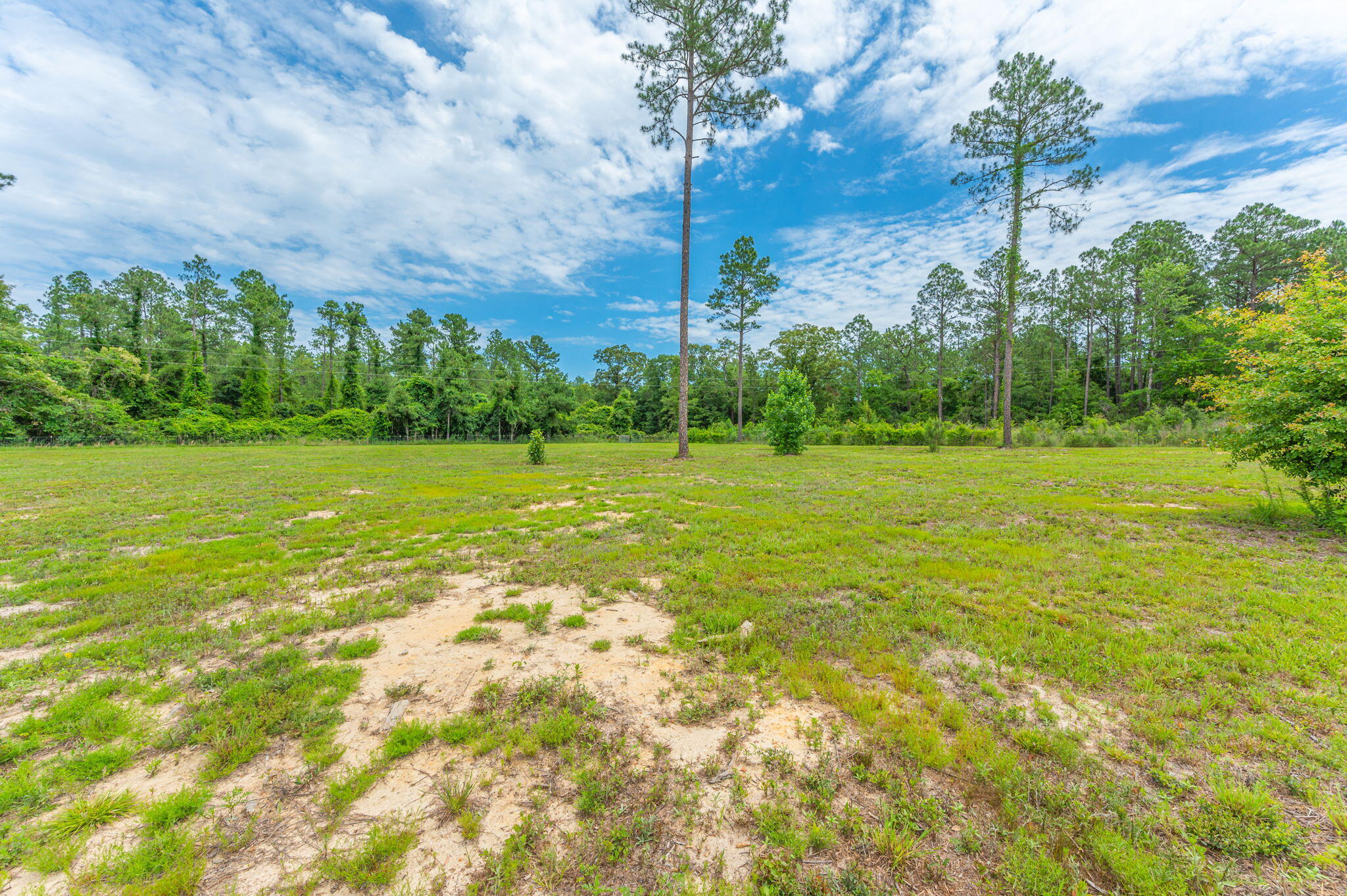10-acres Buck Tyner Road Laurel Hill, FL 32567 - Photo 5 of 20 a view of a green field with trees in the background