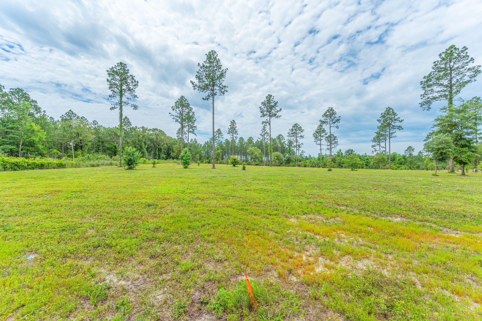 10-acres Buck Tyner Road Laurel Hill, FL 32567 - Photo 7 of 20 a view of a city