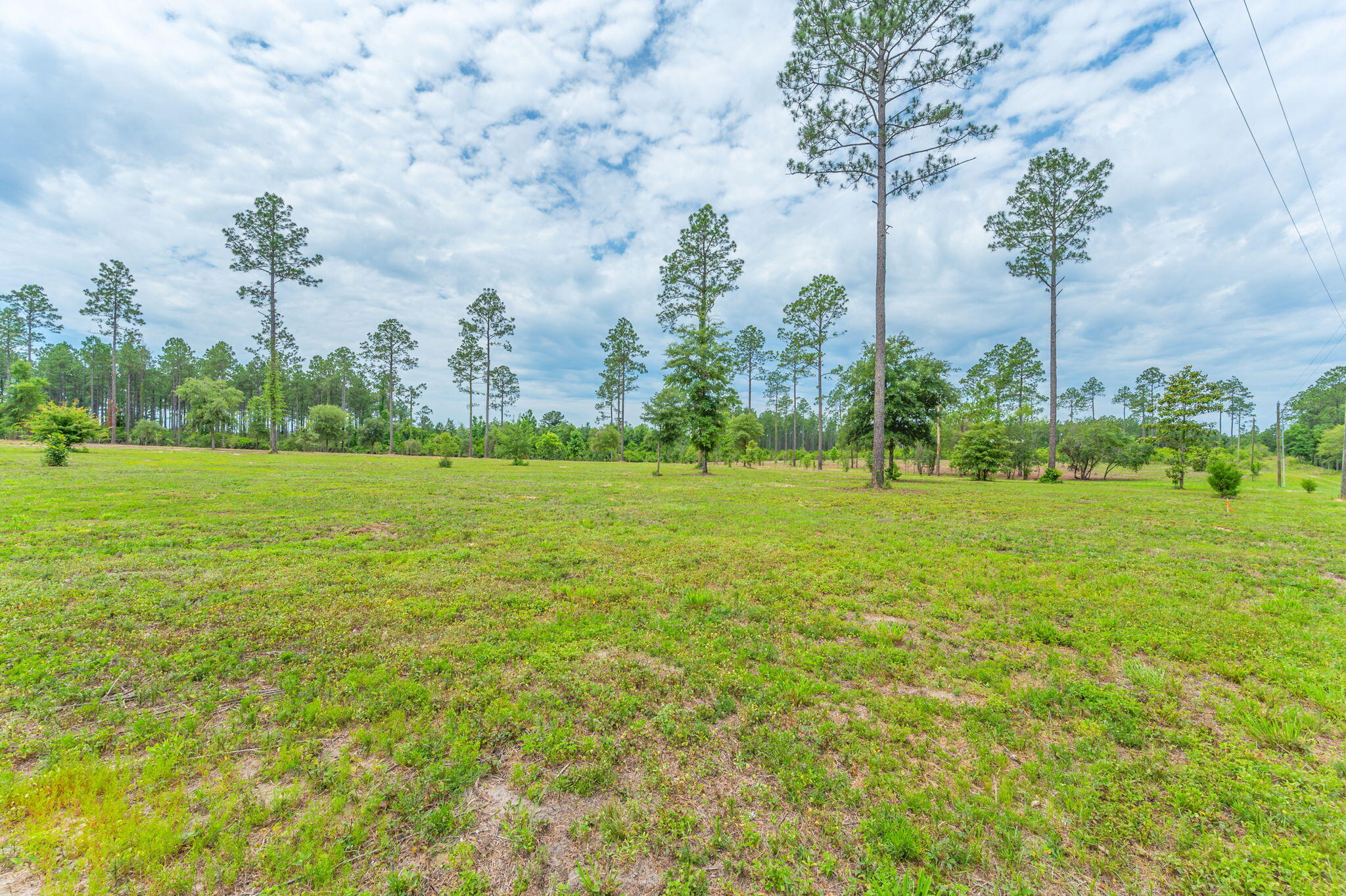 10-acres Buck Tyner Road Laurel Hill, FL 32567 - Photo 8 of 20 a yard with lots of green space and palm trees