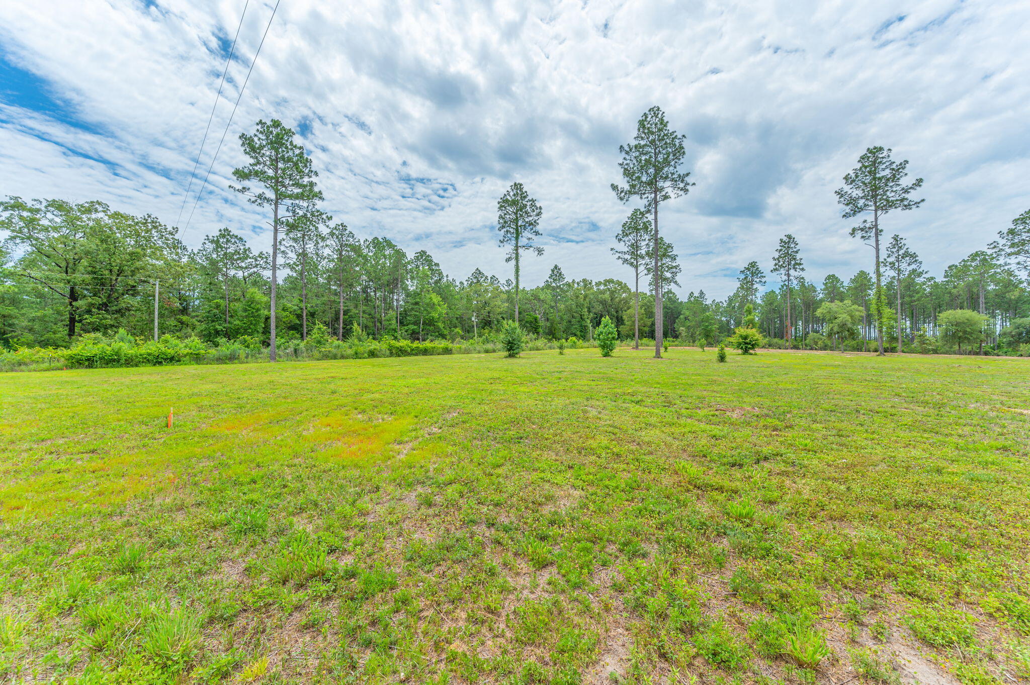 10-acres Buck Tyner Road Laurel Hill, FL 32567 - Photo 9 of 20 a view of a golf course with a lake