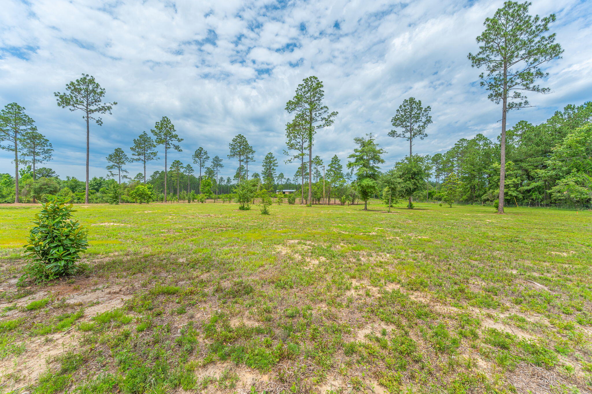 10-acres Buck Tyner Road Laurel Hill, FL 32567 - Photo 10 of 20 a view of a garden with a building in the background