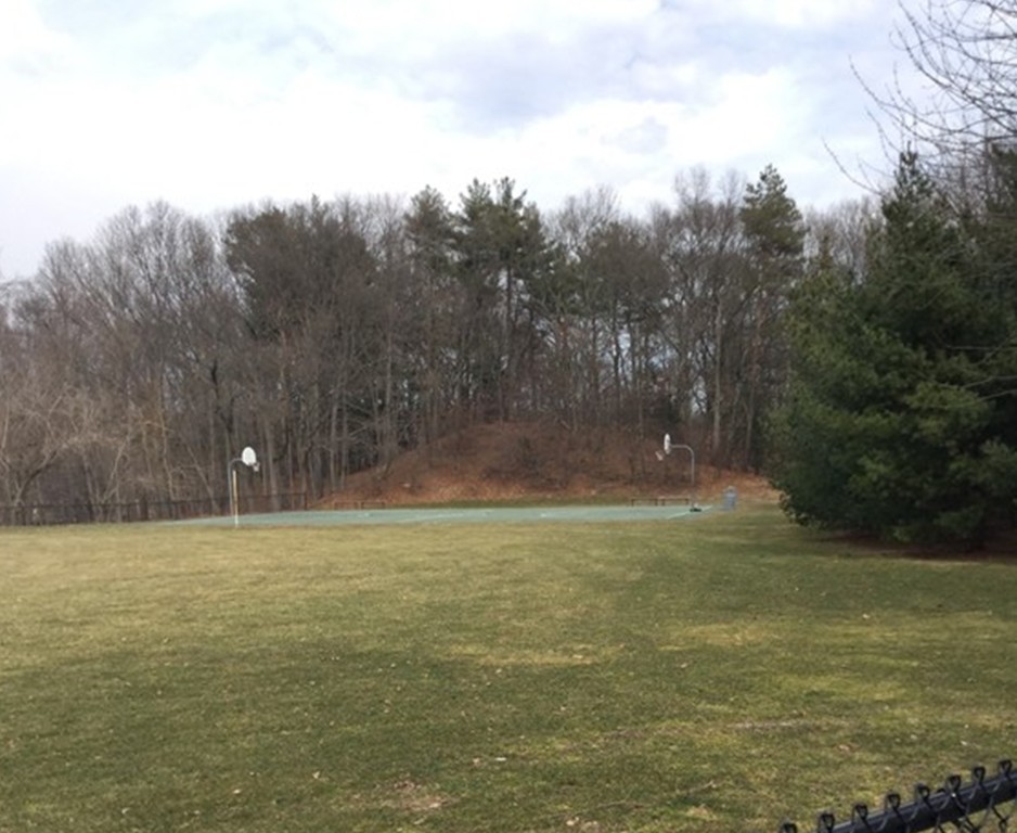 150 Barton Road Wellesley, MA 02481 - Photo 19 of 20 a view of a with large trees