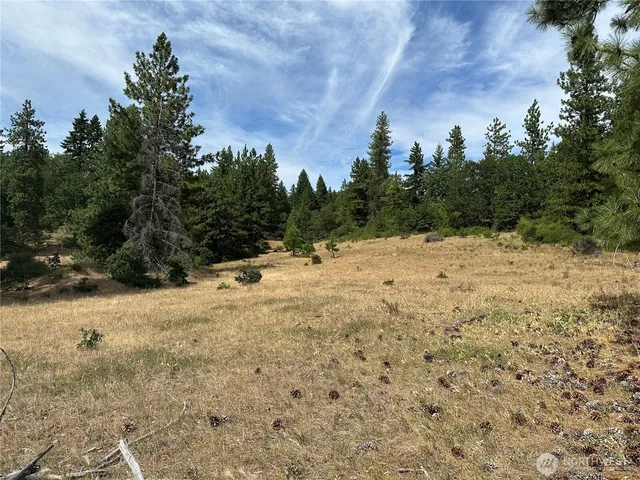 a view of a yard covered with snow in the background