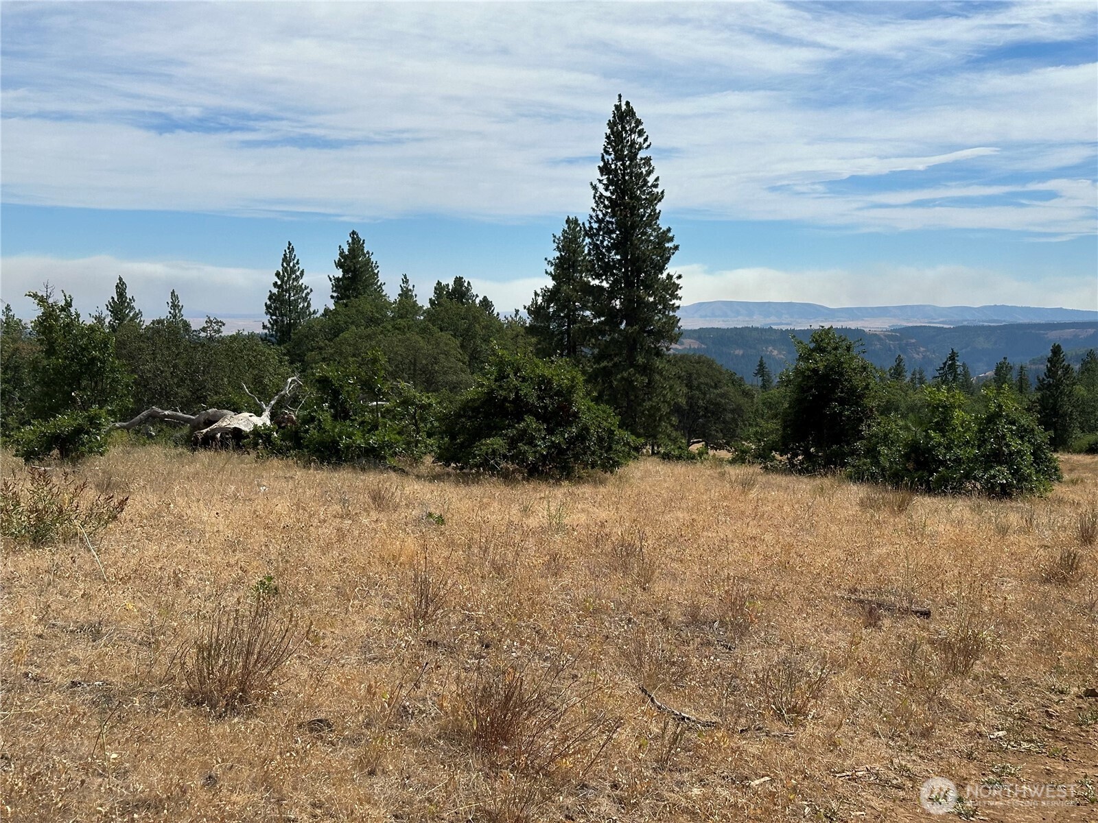 27 Grayback Road Goldendale, WA 98620 - Photo 4 of 4