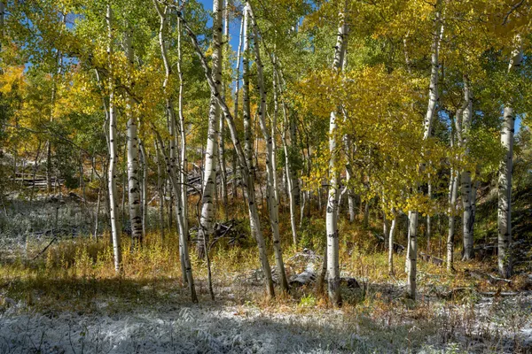 $1,895,000 | Tbd Aj Drive, Mountain Village, CO 81435