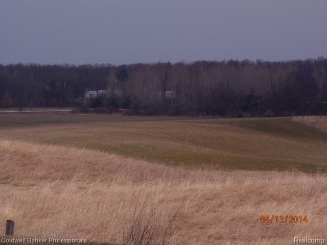 1755 East Newark Road Lapeer, MI 48446 - Photo 5 of 26 1755 Newark field spring.jpg