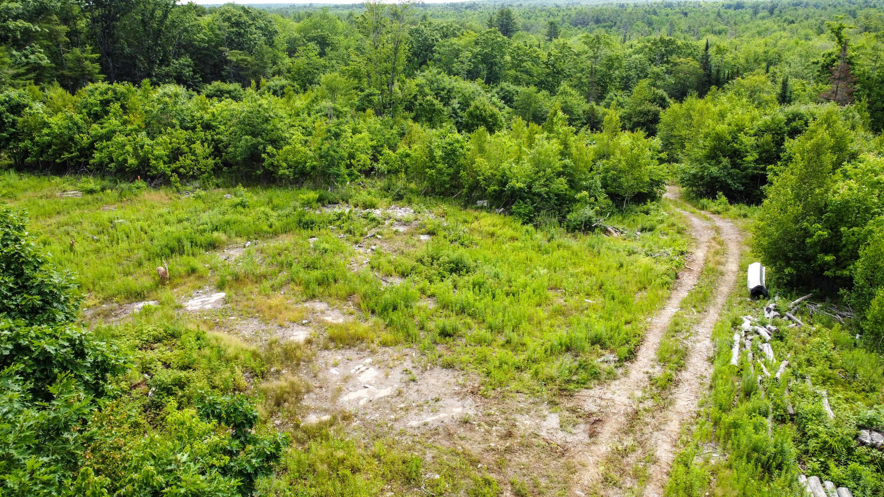 61 Plummer Road Richmond, ME 04357 - Photo 15 of 15 Land9