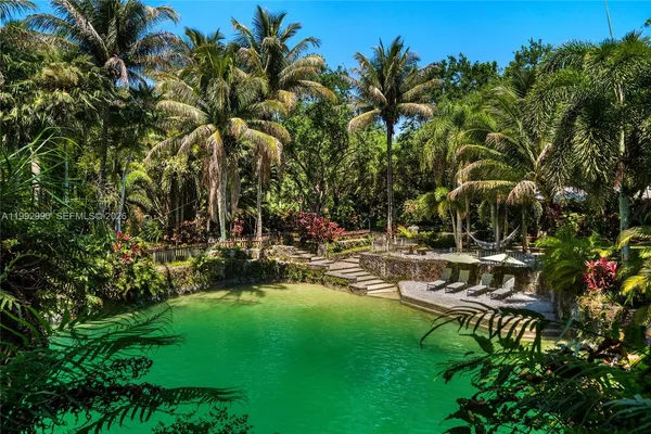 a view of a yard with plants and large trees