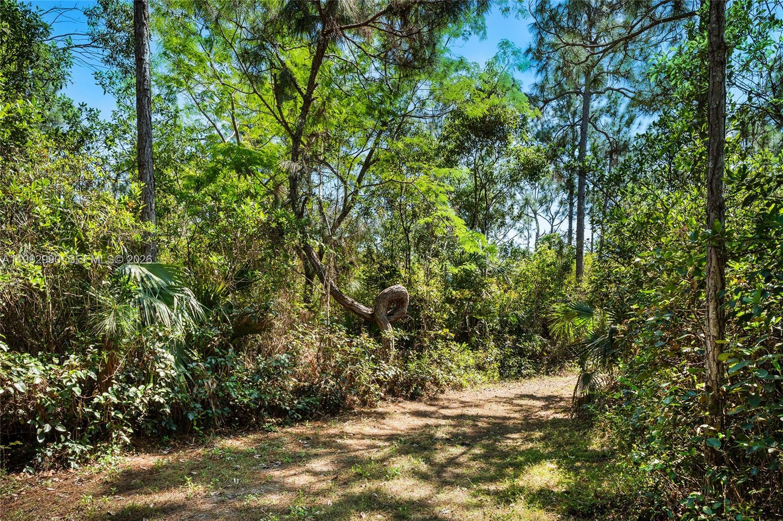 15000 Southwest 200th Street Miami, FL 33187 - Photo 52 of 76 a view of a yard with plants and trees