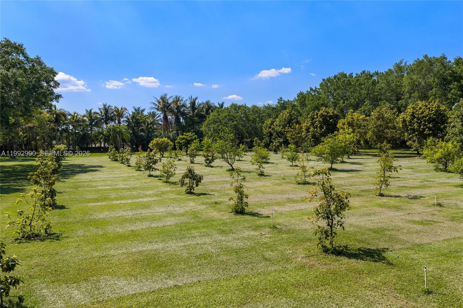 15000 Southwest 200th Street Miami, FL 33187 - Photo 55 of 76