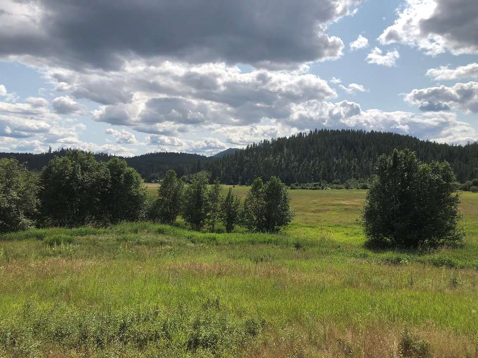2986 F Red Marble Road Chewelah, WA 99109 - Photo 3 of 4 Gallery Image 3
