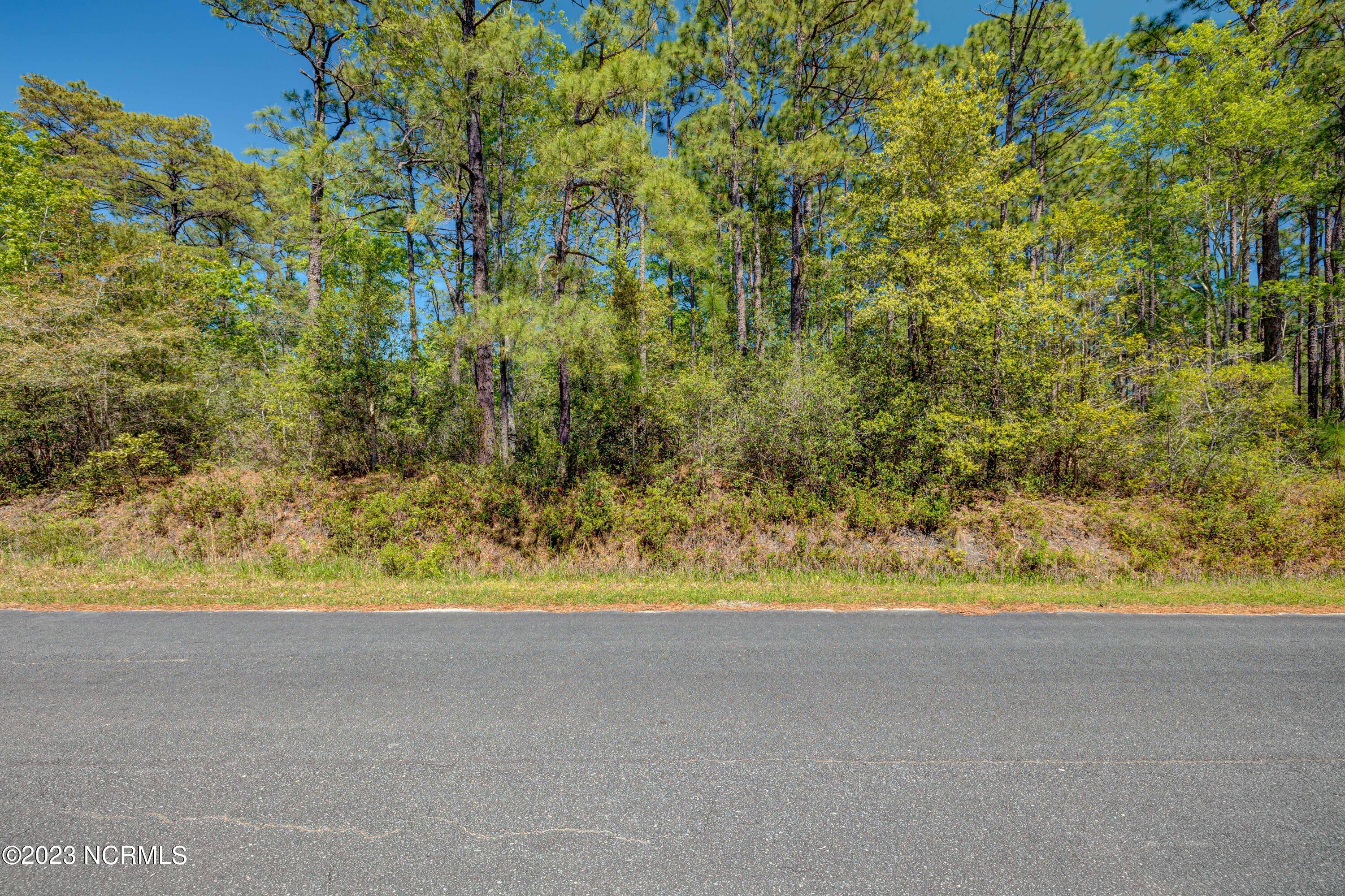 370 Cherry Road Boiling Spring Lakes, NC 28461 - Photo 7 of 8 BoilingSpringLots-14