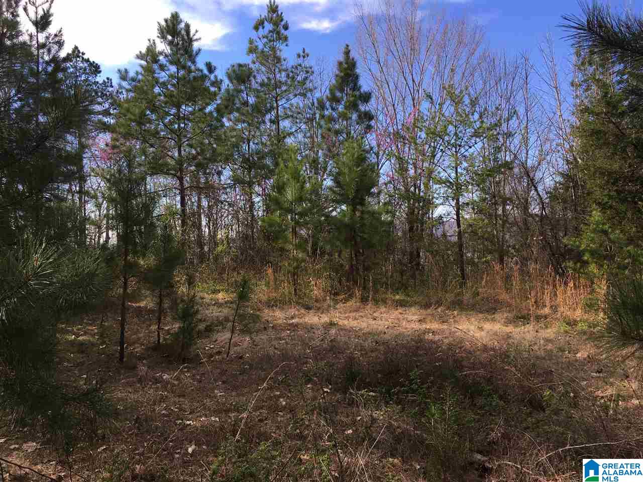 230 County Line Road Oxford, AL 36203 - Photo 35 of 50