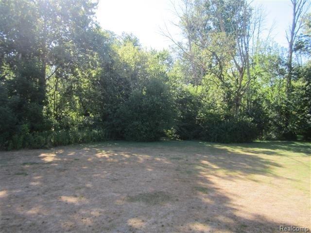 433 Riley Street Dundee, MI 48131 - Photo 5 of 24 5-Back Yard.JPG