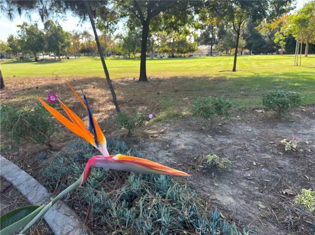 a view of outdoor space with green field and trees all around