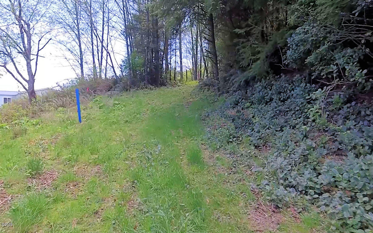 805 Reddekopp Road Cloverdale, OR 97112 - Photo 6 of 17 Road Already Cut In